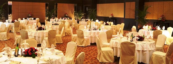 515/Radisson Blu Hotel - Indore 005.jpg